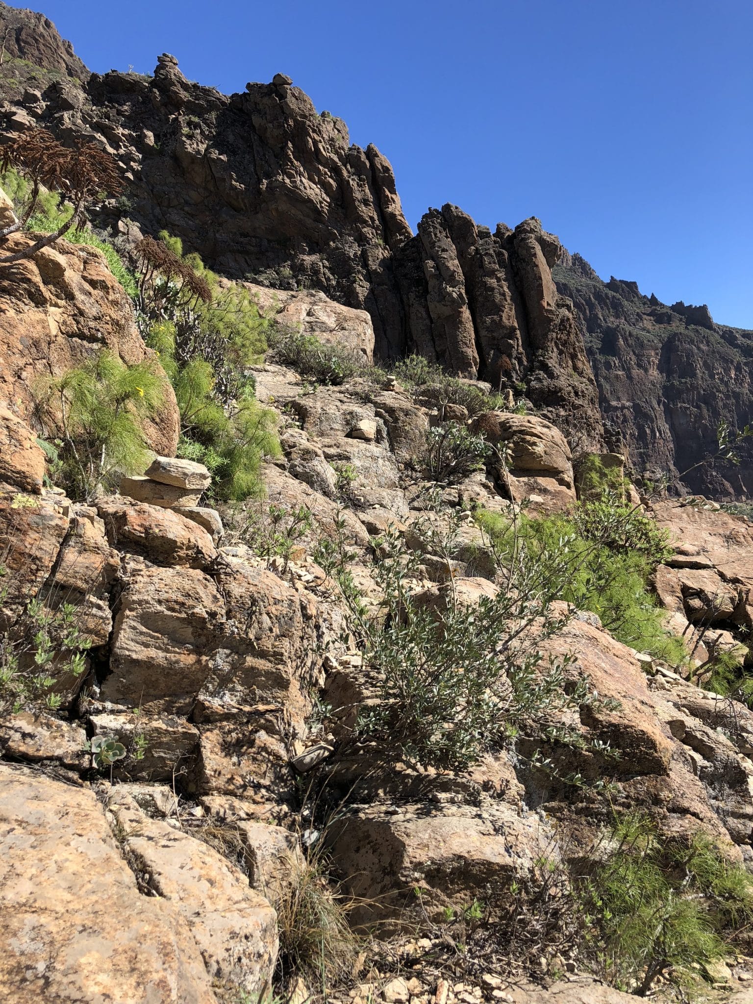 Wanderweg Gran Canaria