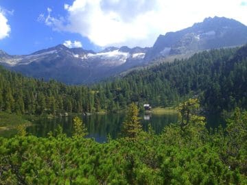 Reedsee in den Alpen