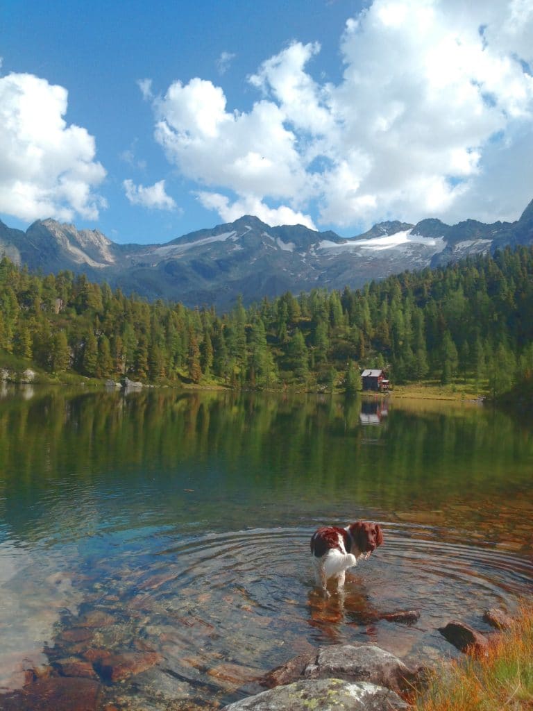 Alpen wandern zum Reedsee