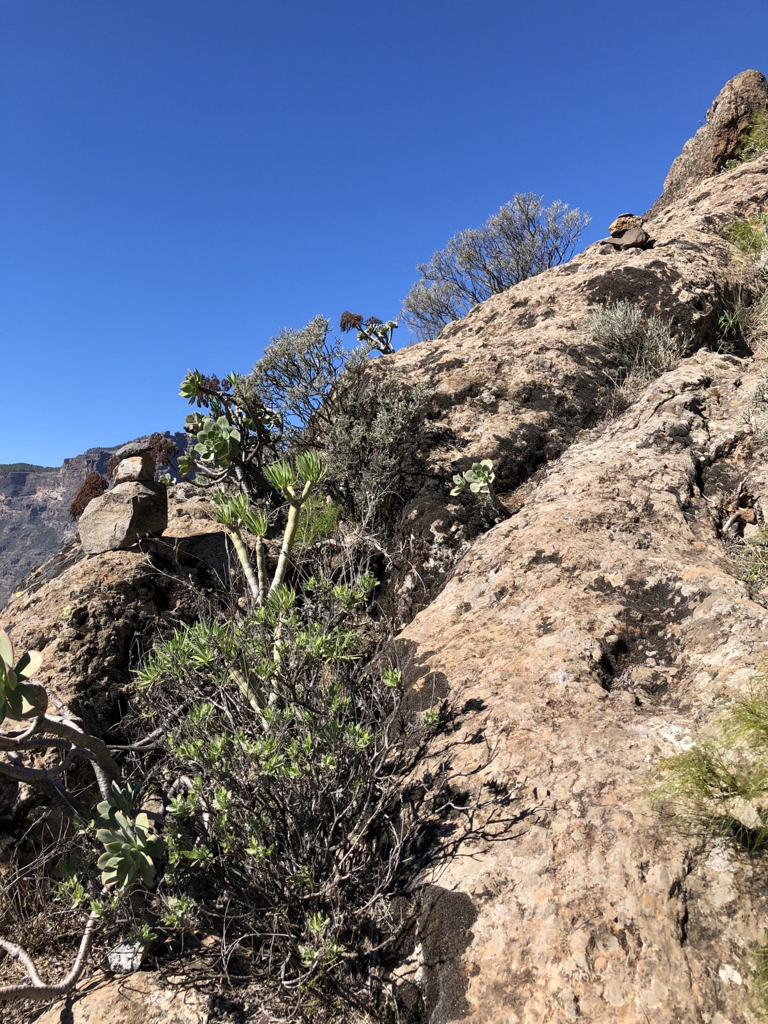 Wanderweg vom Risco Blanco