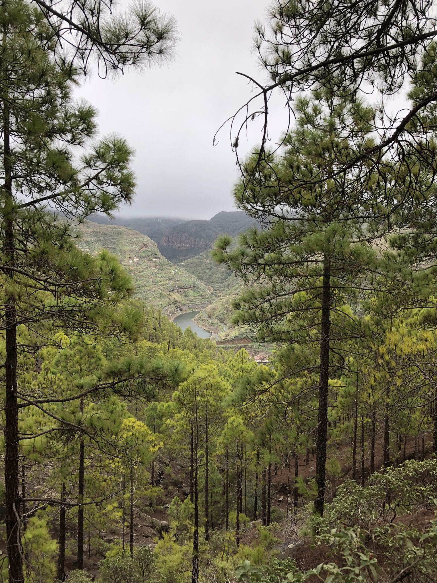 Blick auf Stausee Gran Canaria