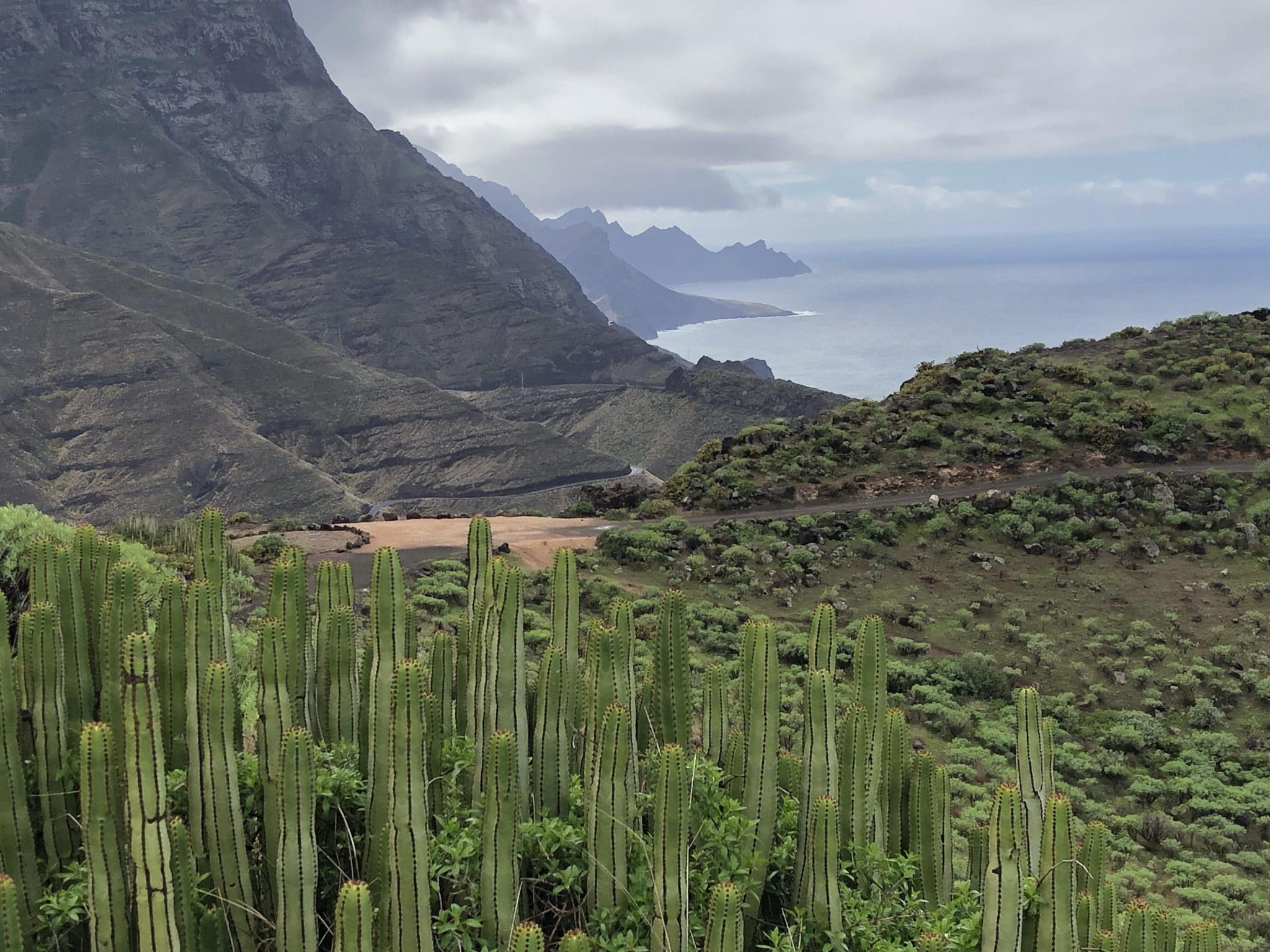 Klippen auf Gran Canaria in der Nähe von Agaete