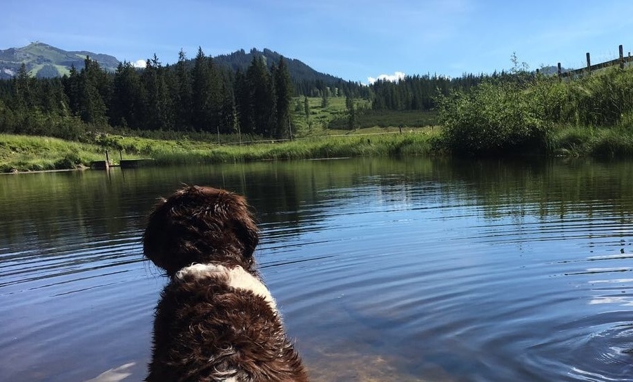 Bergsee in der Nähe der Winklmoos-Alm