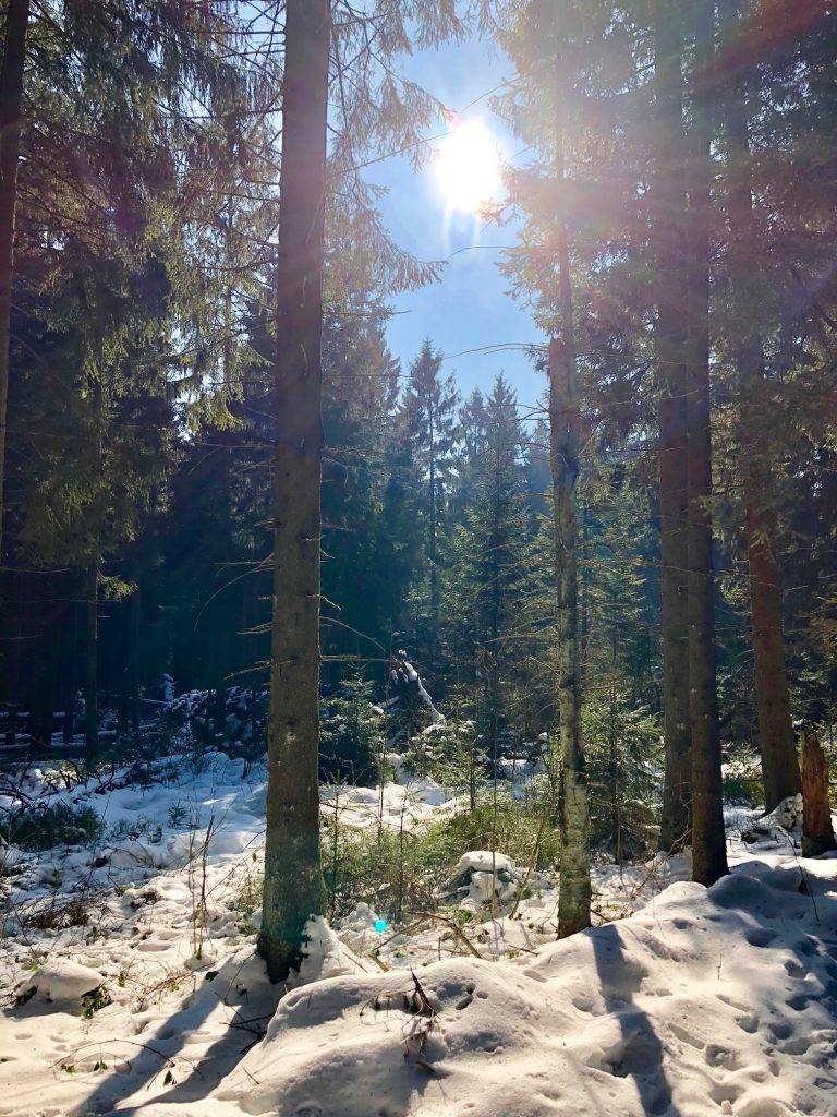 Harz im Winter mit Sonnenschein