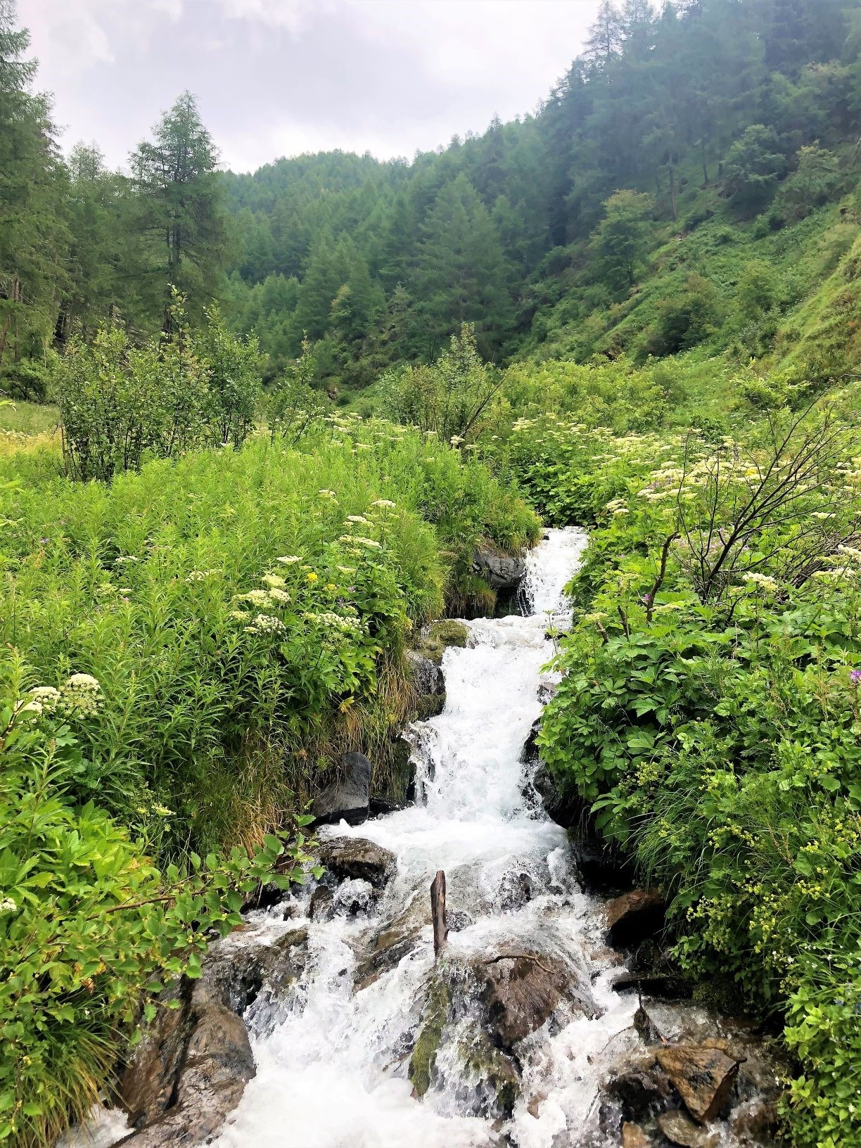 rauschender Bergfluss 