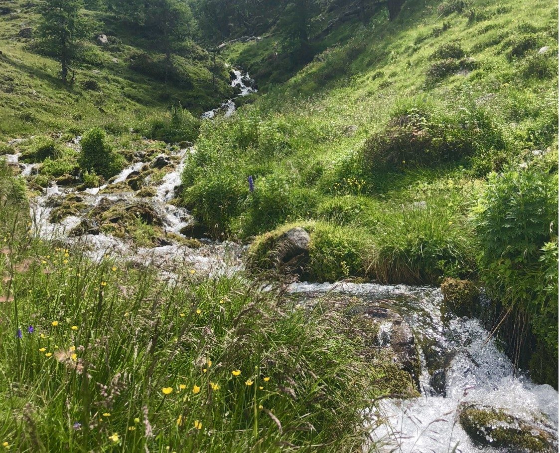 Fluss bei der Mairalm