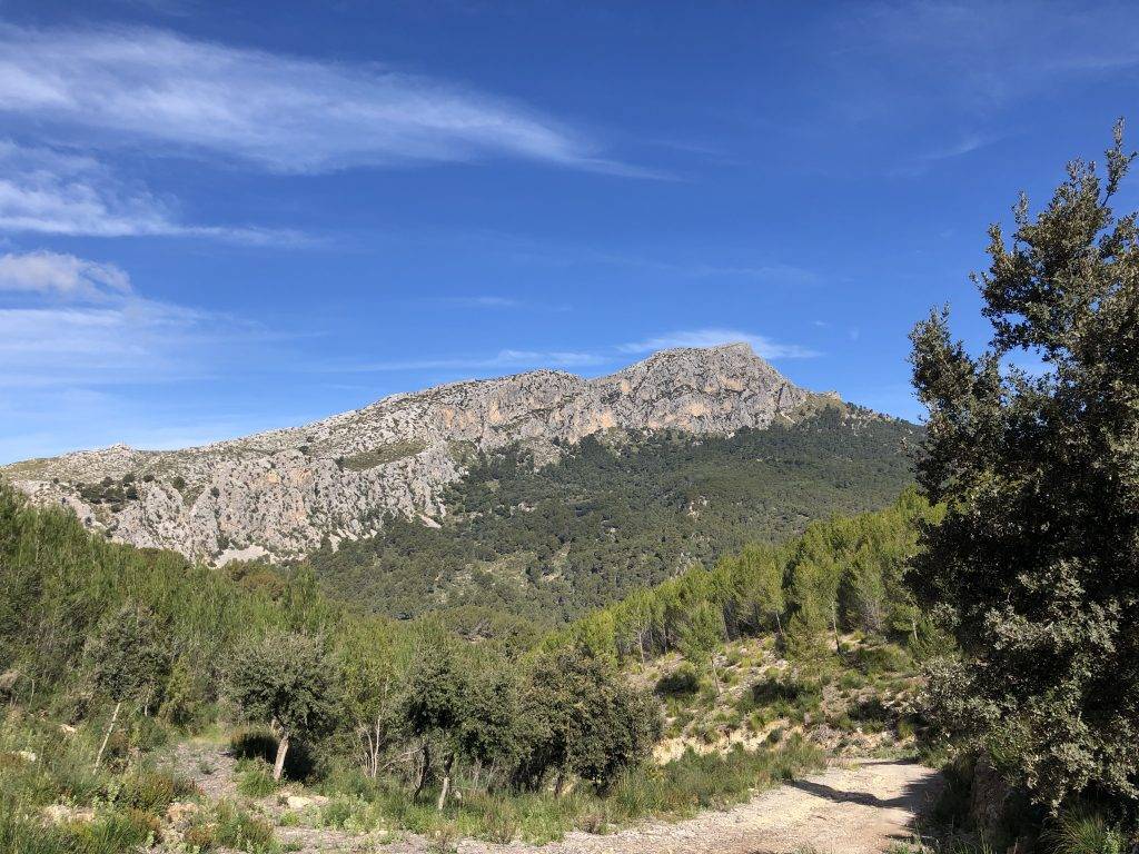 Puig Galazoó vor blauem Himmel auf Mallorca