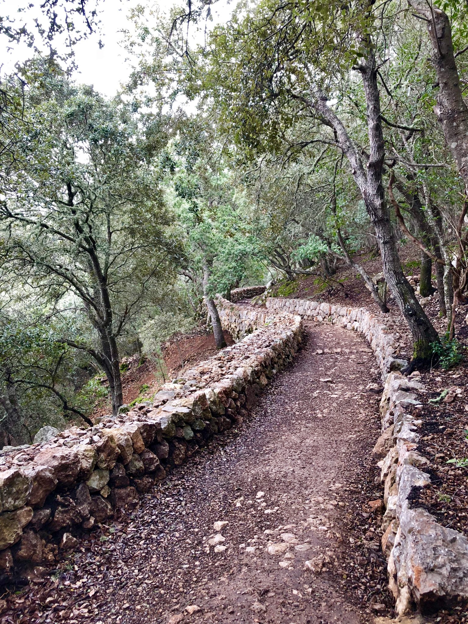 Camino auf Mallorcas GR 221 Auf dem Weg nach Esporles auf dem GR 221 passieren wir Trockensteinmauern