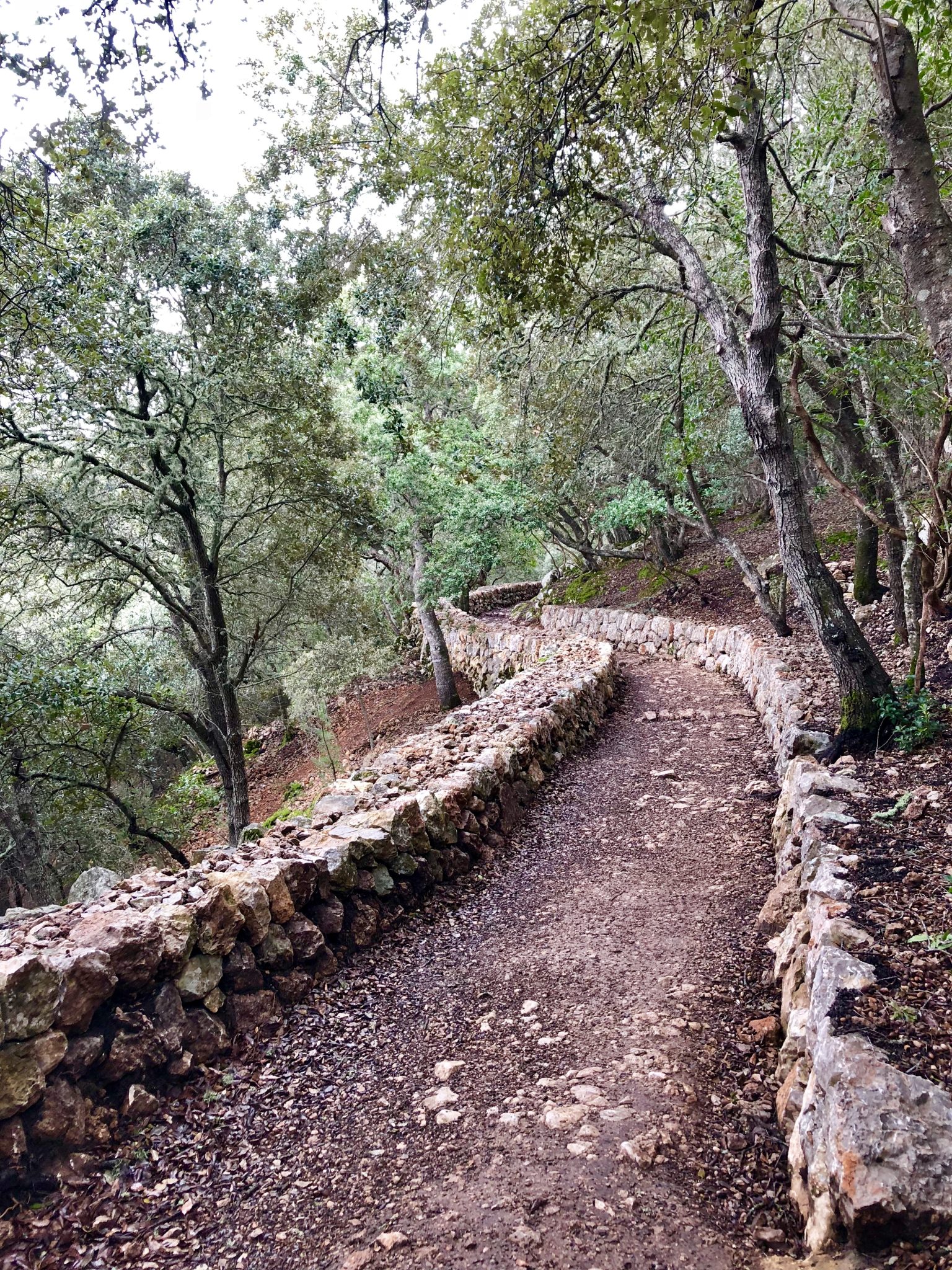 Auf dem Weg nach Esporles auf dem GR 221 passieren wir Trockensteinmauern