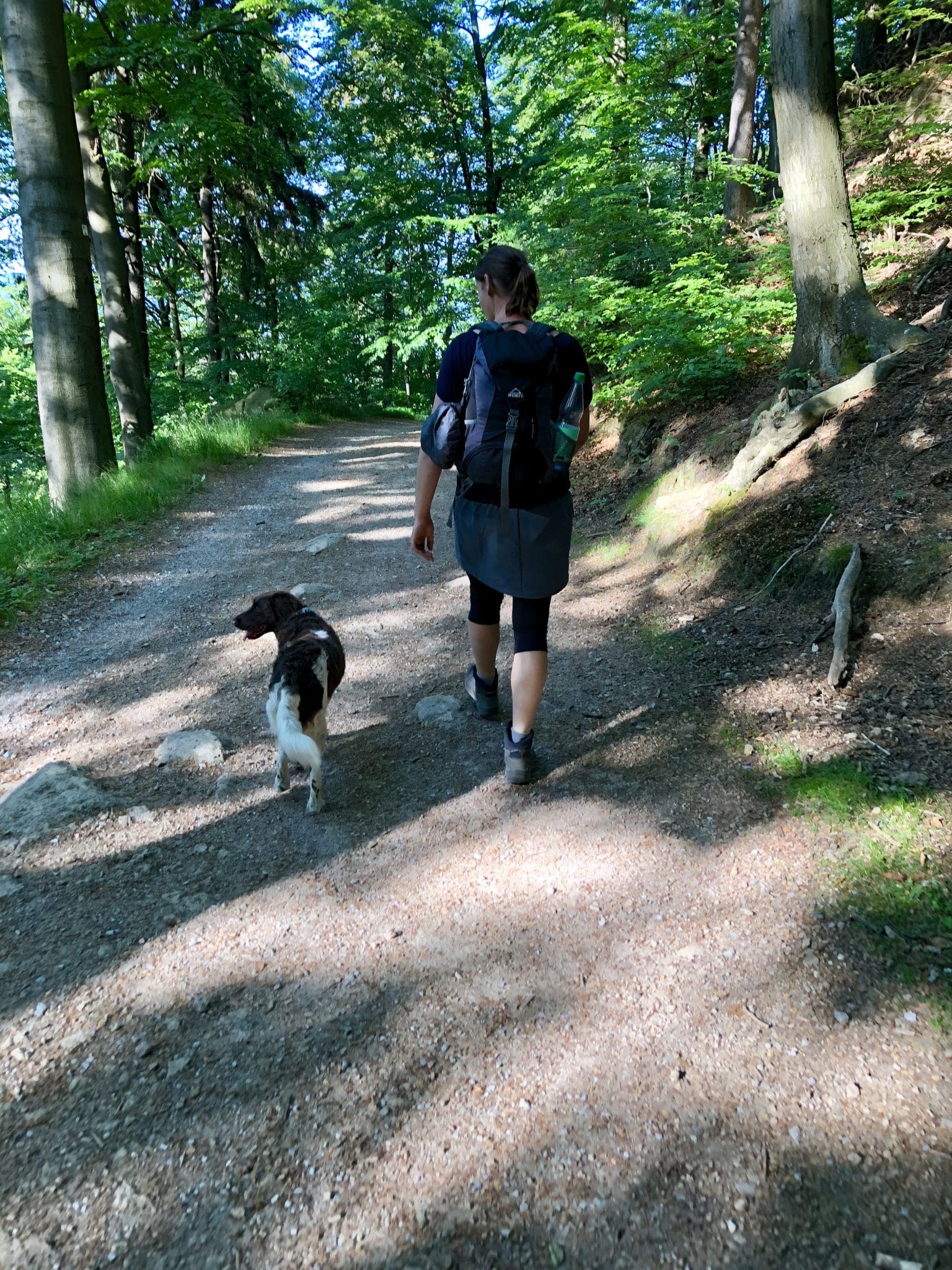 Wandern mit Hund im Harz, im Ilsetal 
