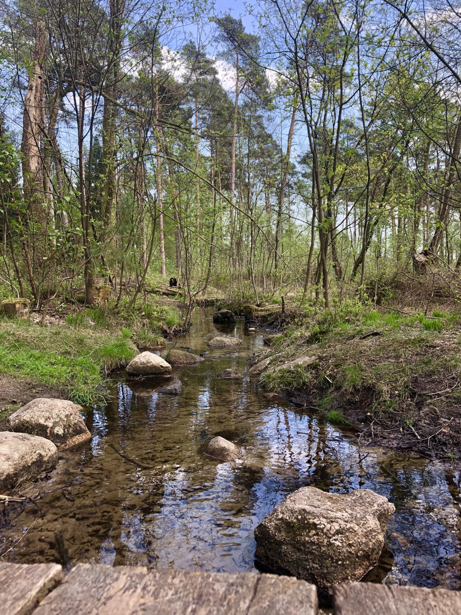 Fluss am Heidschnuckenweg, wichtig für den Hund
