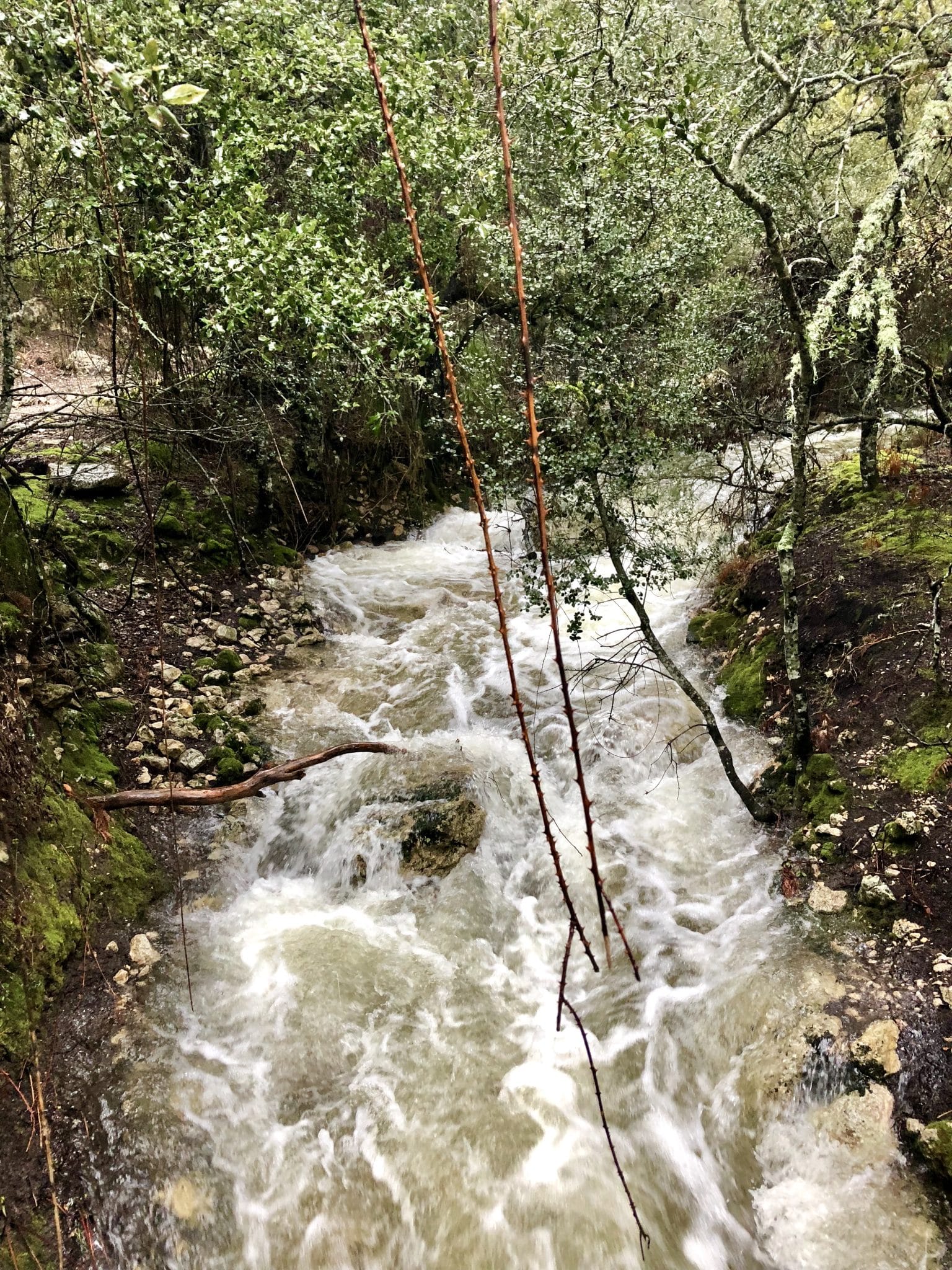 Wasserlandschaft auf dem Weg zum Kloster Lluc