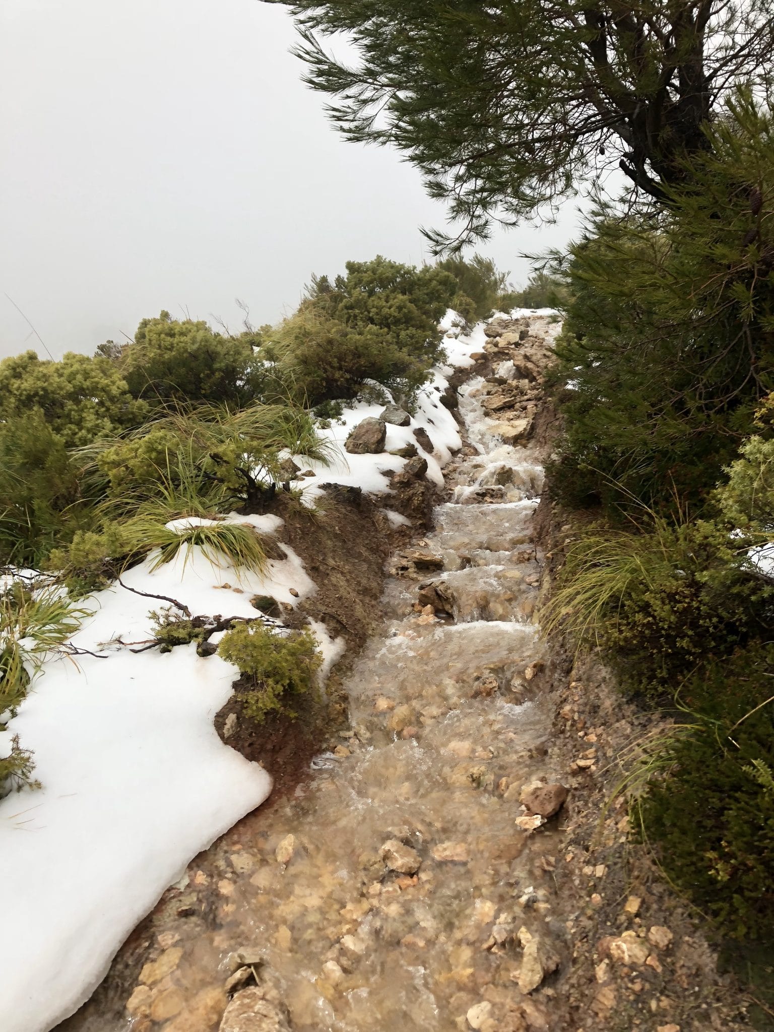 Überflutete Wanderwege zum Kloster Lluc