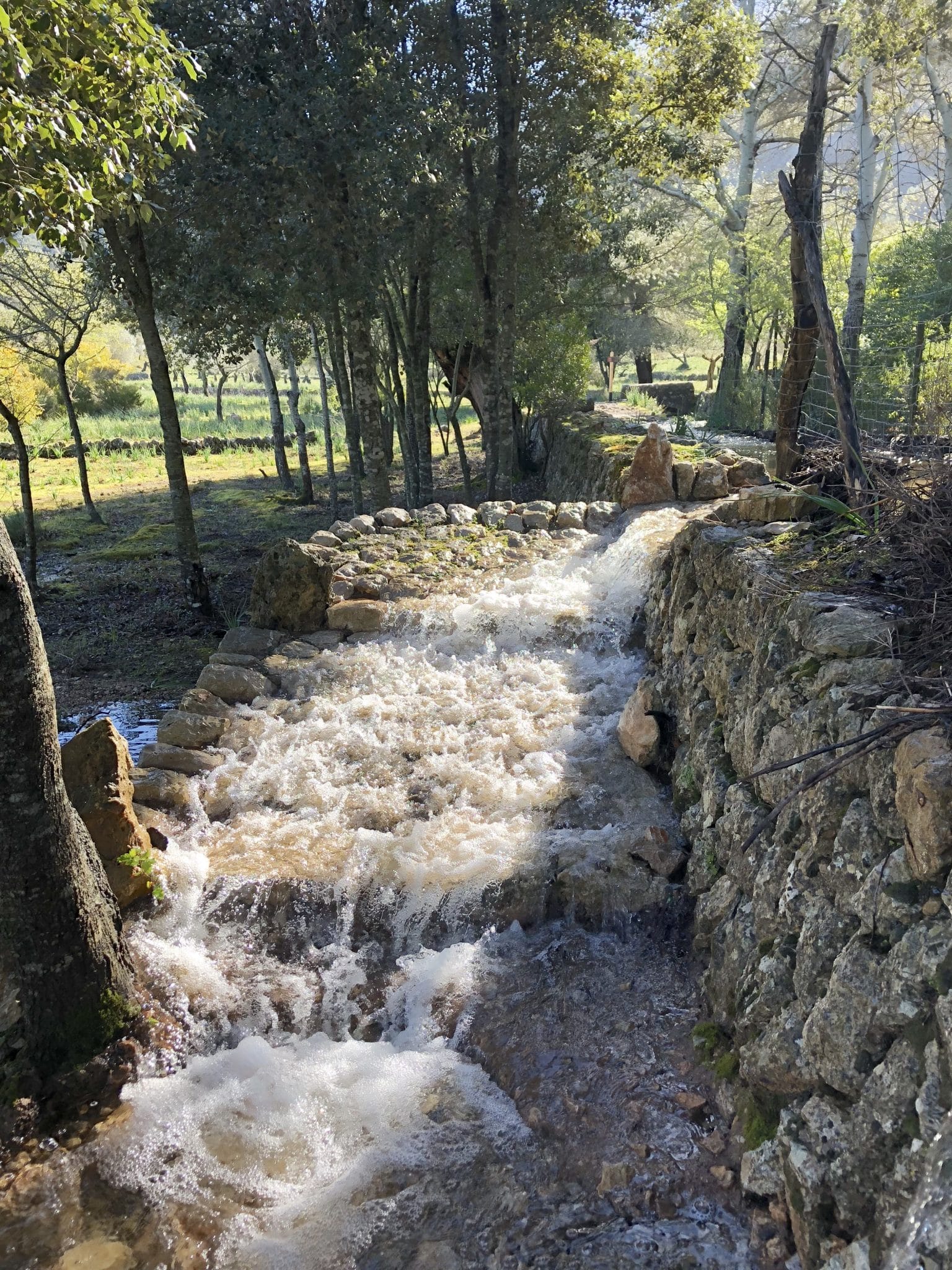 Überfluteter Wanderweg auf dem Fernwanderweg auf Mallorca