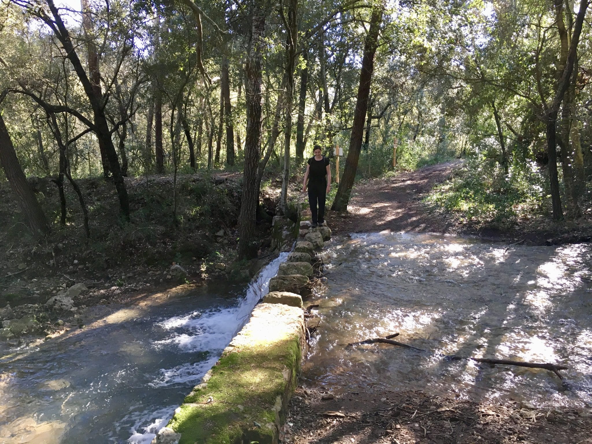 Steinbrücke auf dem Weg nach Pollenca