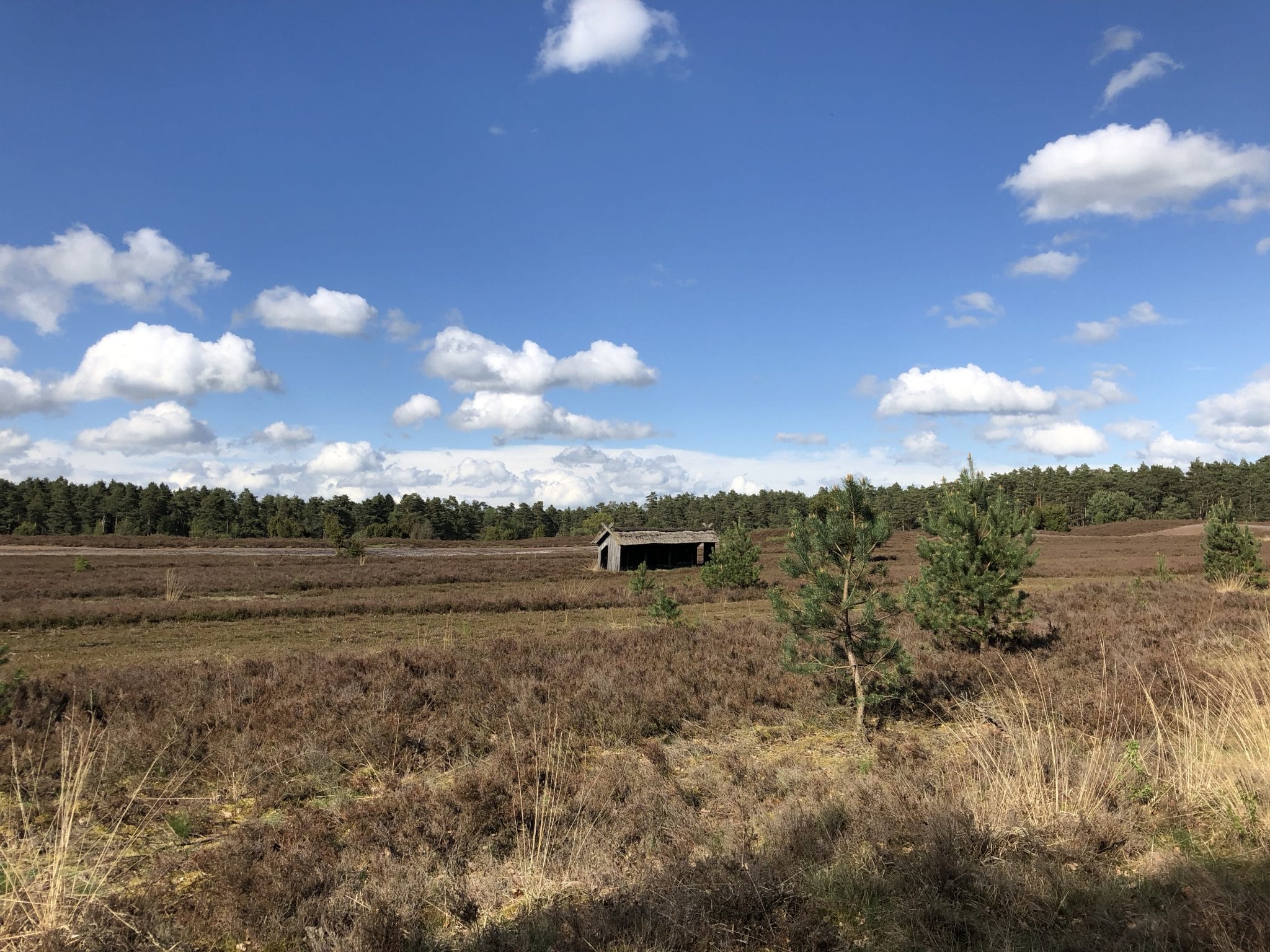 Unterstände für Bienen in der Lüneburger Heide