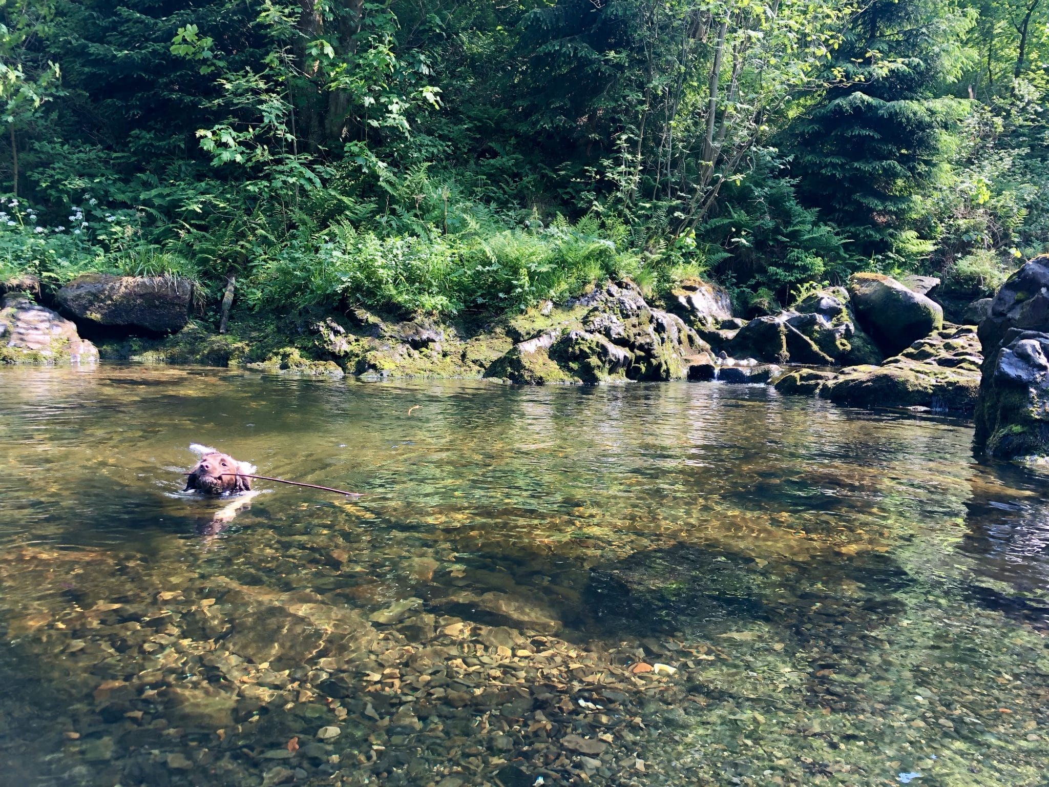 Okertal Harz