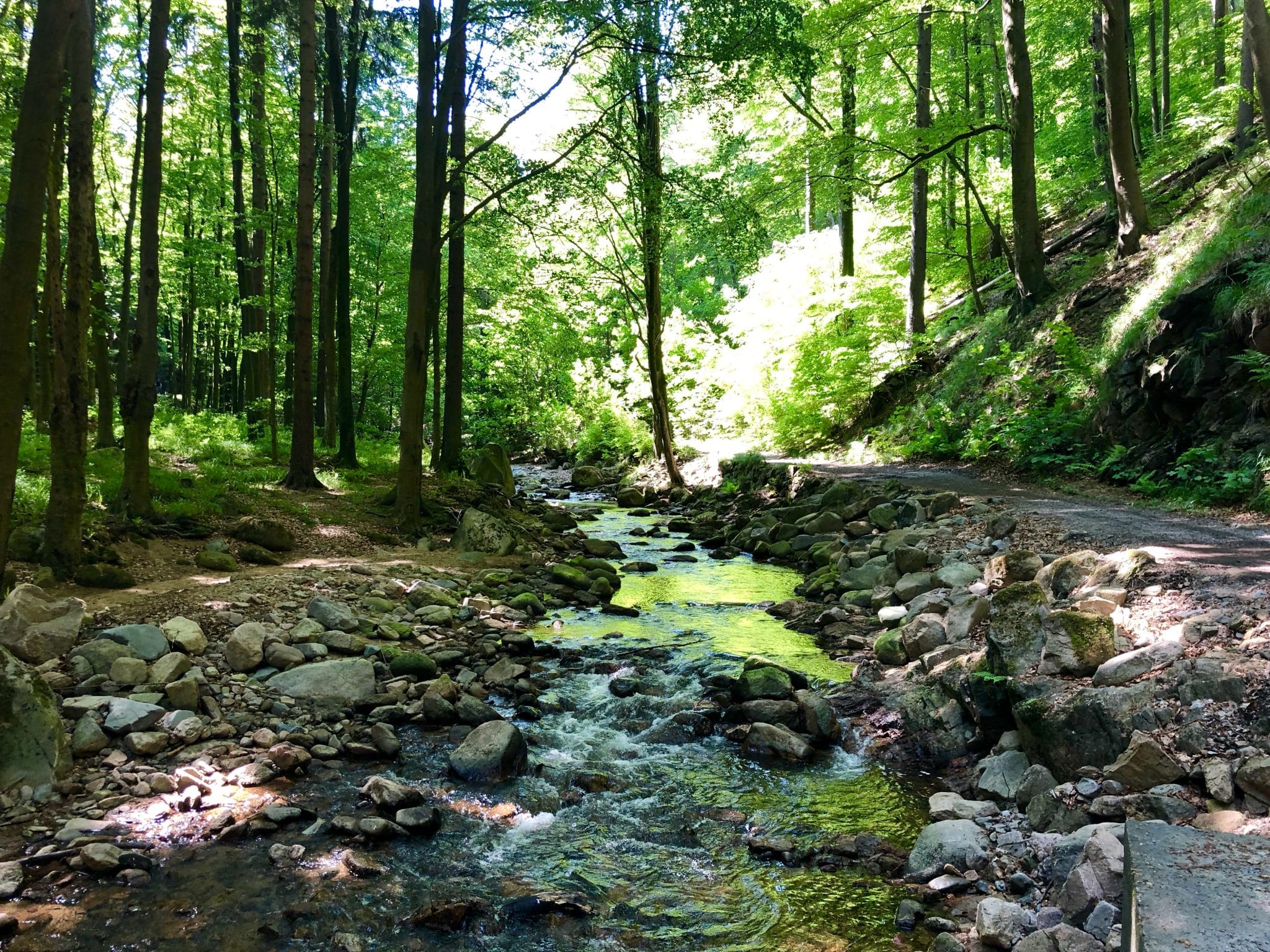 Wandern im Harz