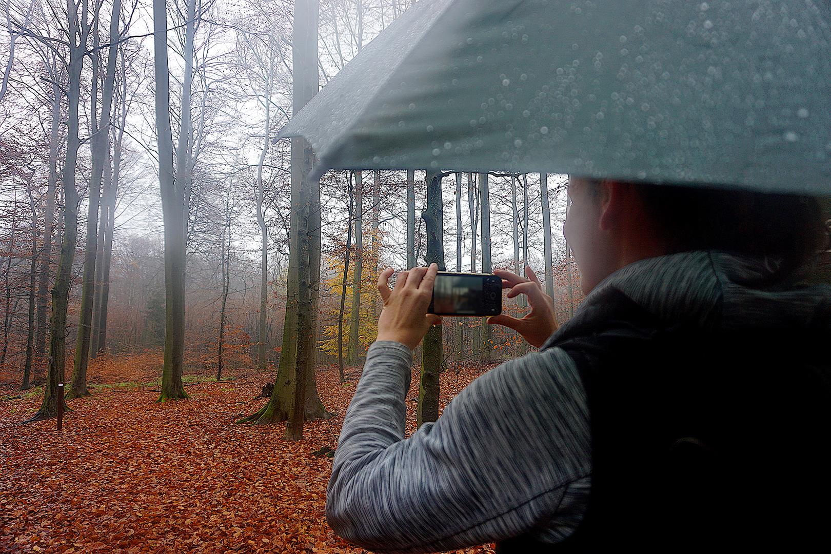 Vorteile Regenschirm wandern 