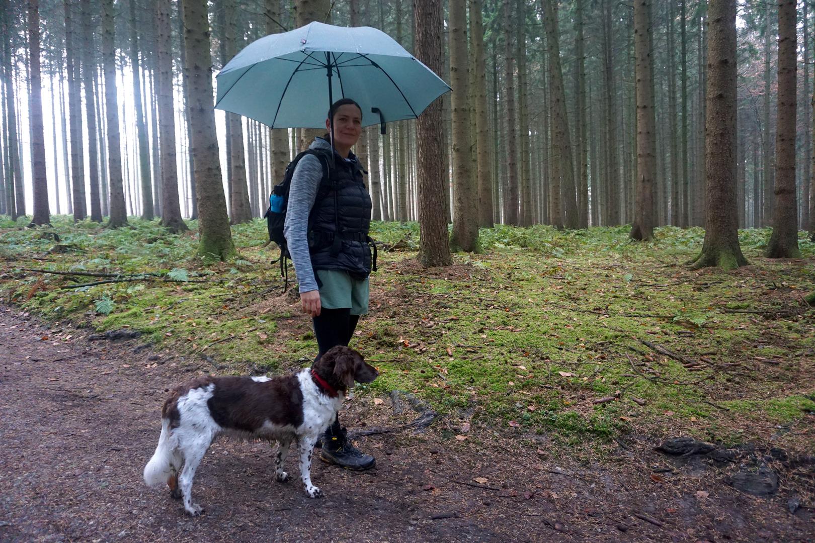 Regenschirm beim Wandern