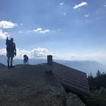Hund Südtirol