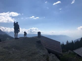 Hund Südtirol