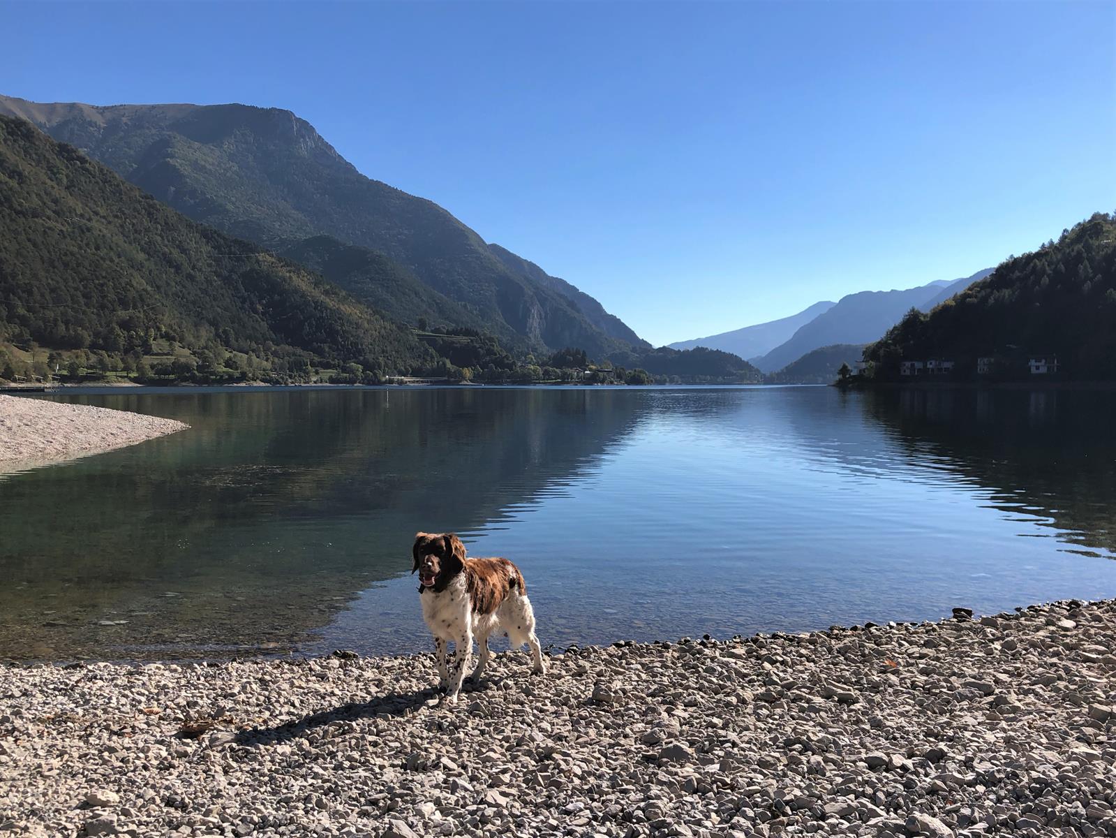 Wandern mit Hund am Lago di Ledro
