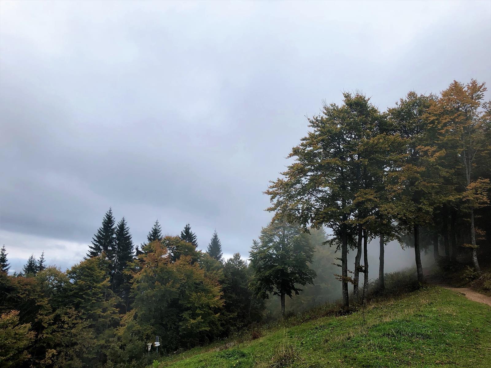 Bocca di Trat am Gardasee