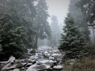 Winter im Harz