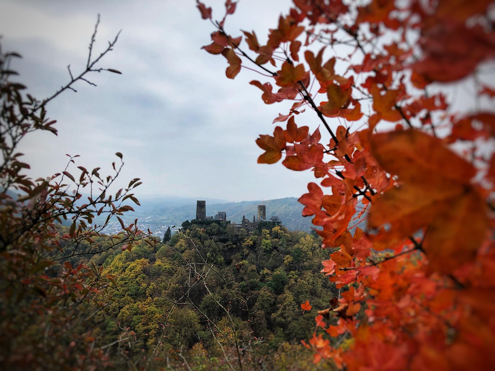 Herbstlicher Blick auf Burg Thurant