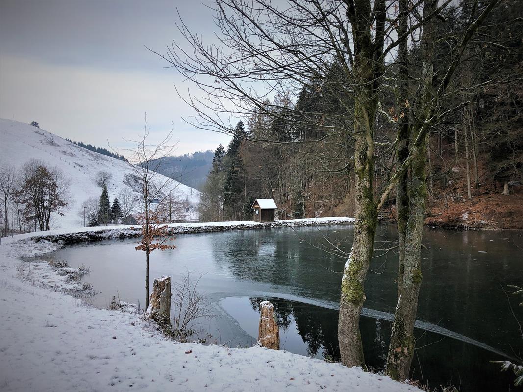 Wandern im Harz