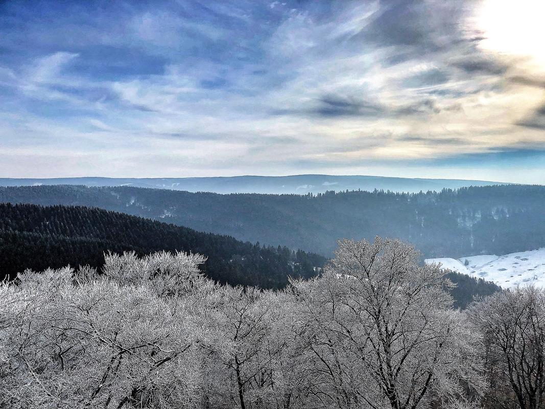 Harz im Winter