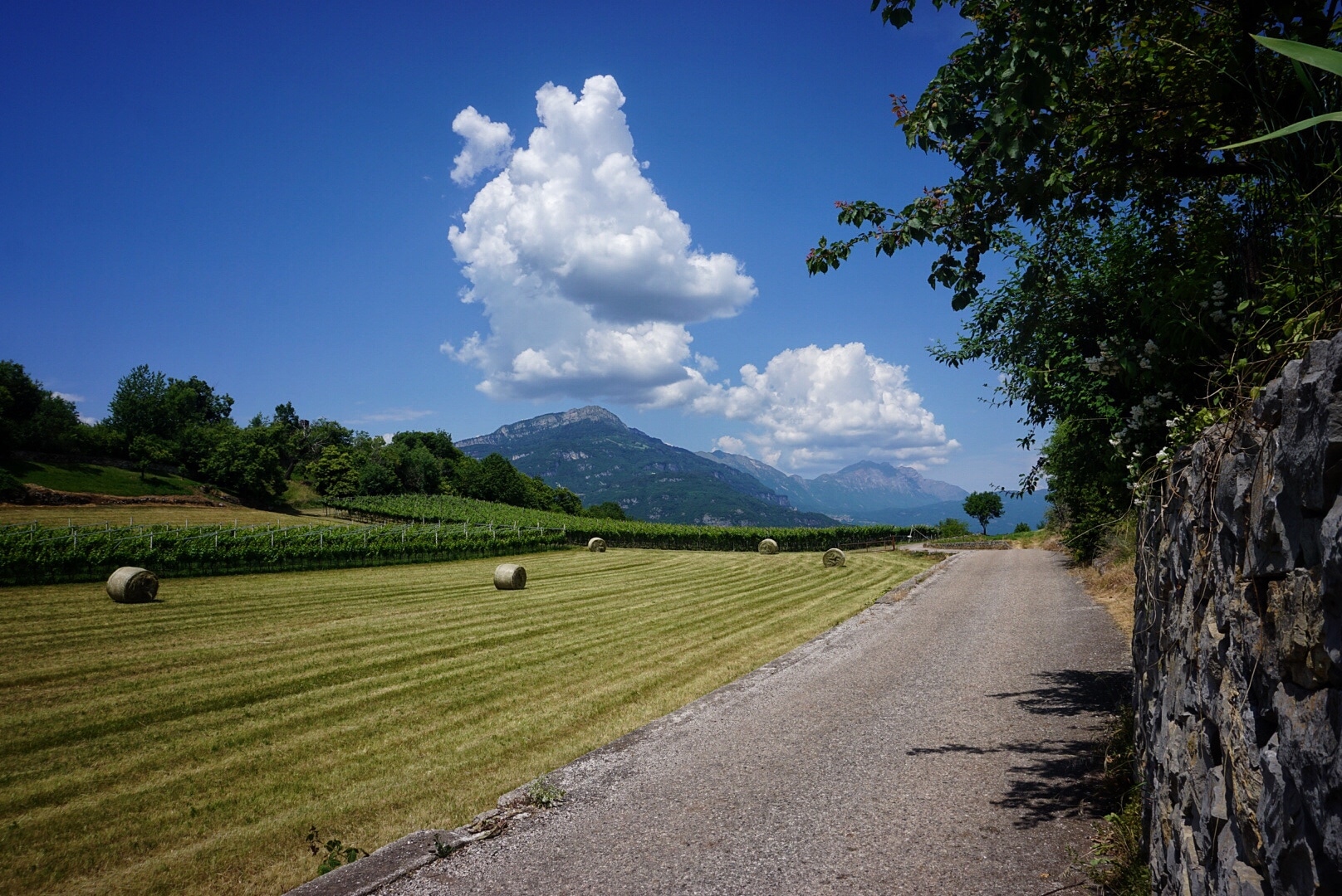 Grüne Lunge Gardasee