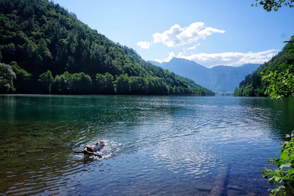 Levico-See in den Fleimstaler Alpen