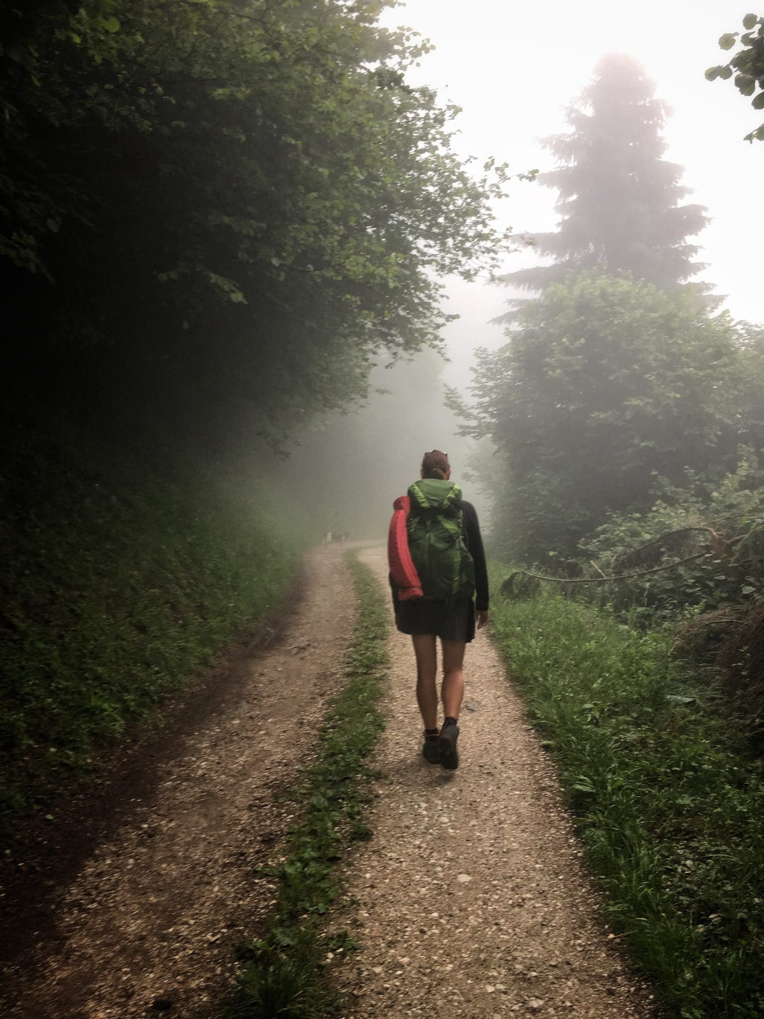 Wanderin
