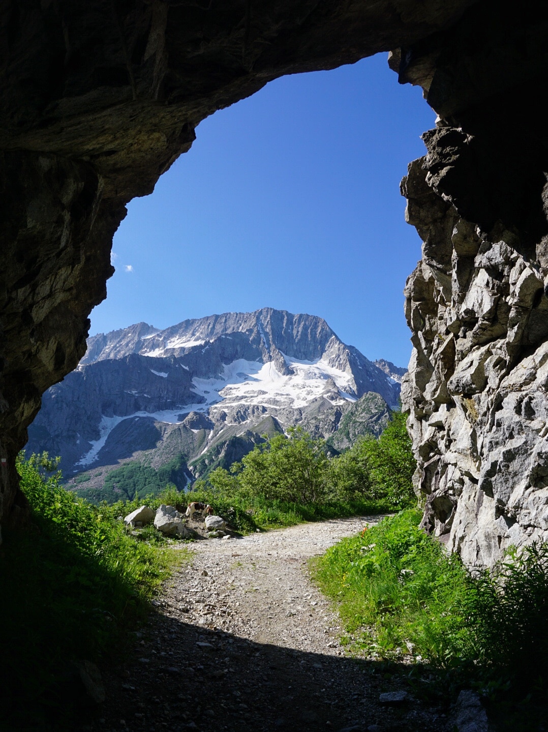 Blick auf die Cima Presanella