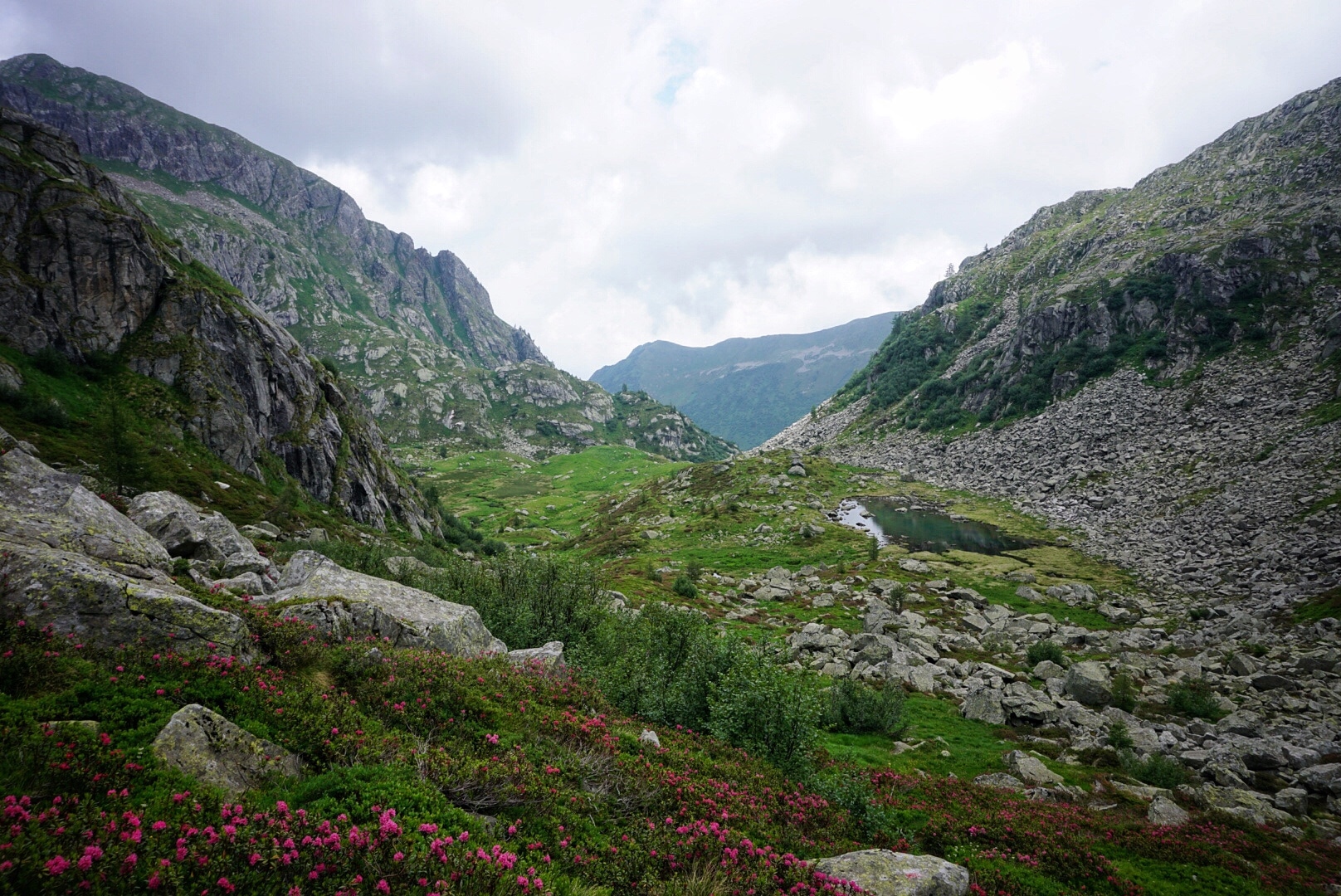 Adamello-Presanella-Alpen