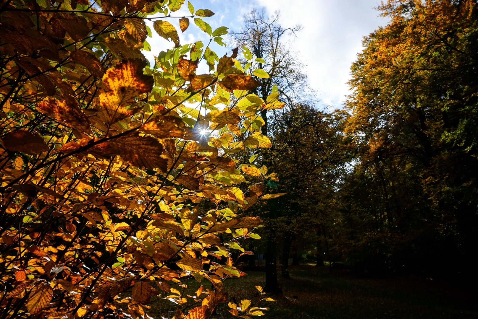Herbst
