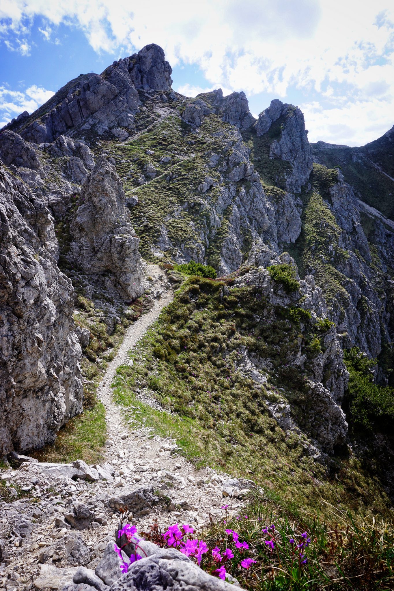 Berg Gardasee