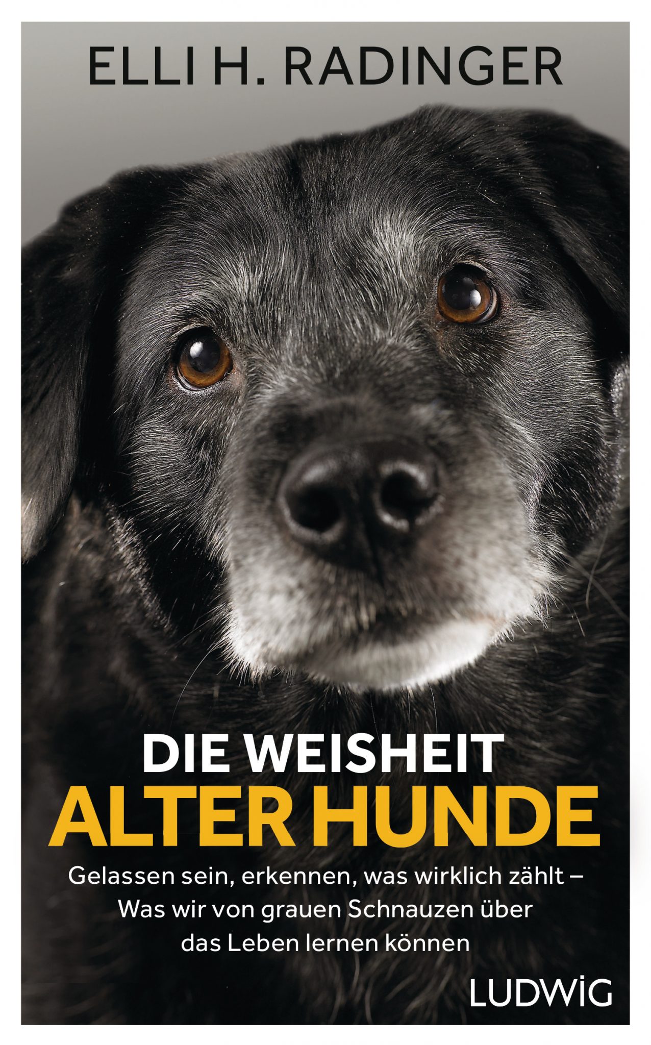 Die Weisheit alter Hunde von Elli H Radinger