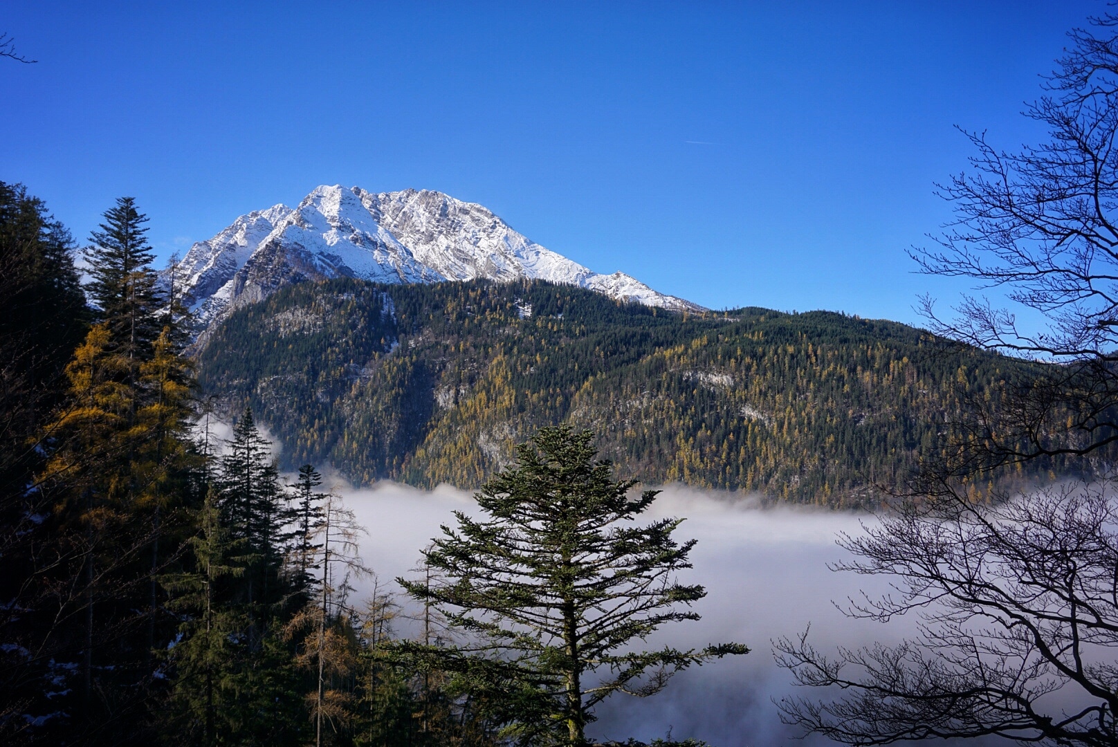 Watzmannblick