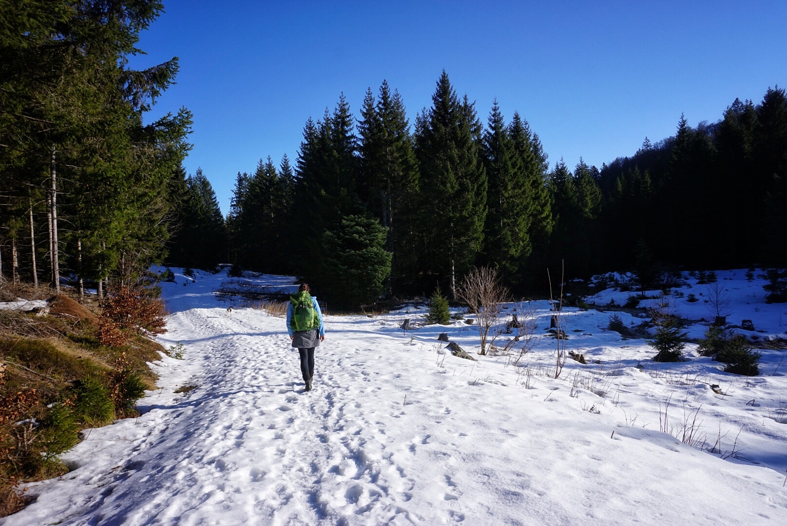 Wandern im Schwarzwald