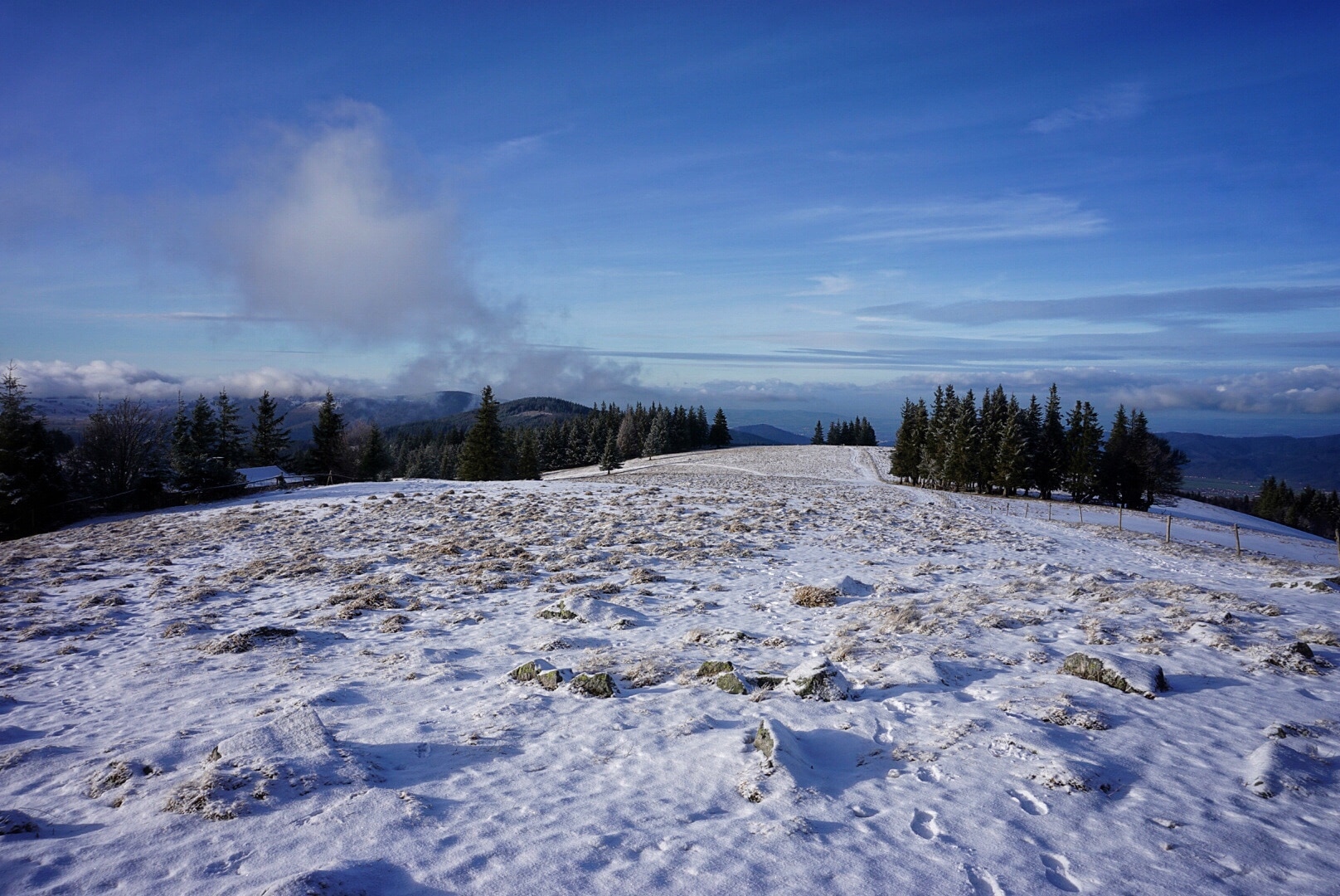 Winter im Schwarzwald