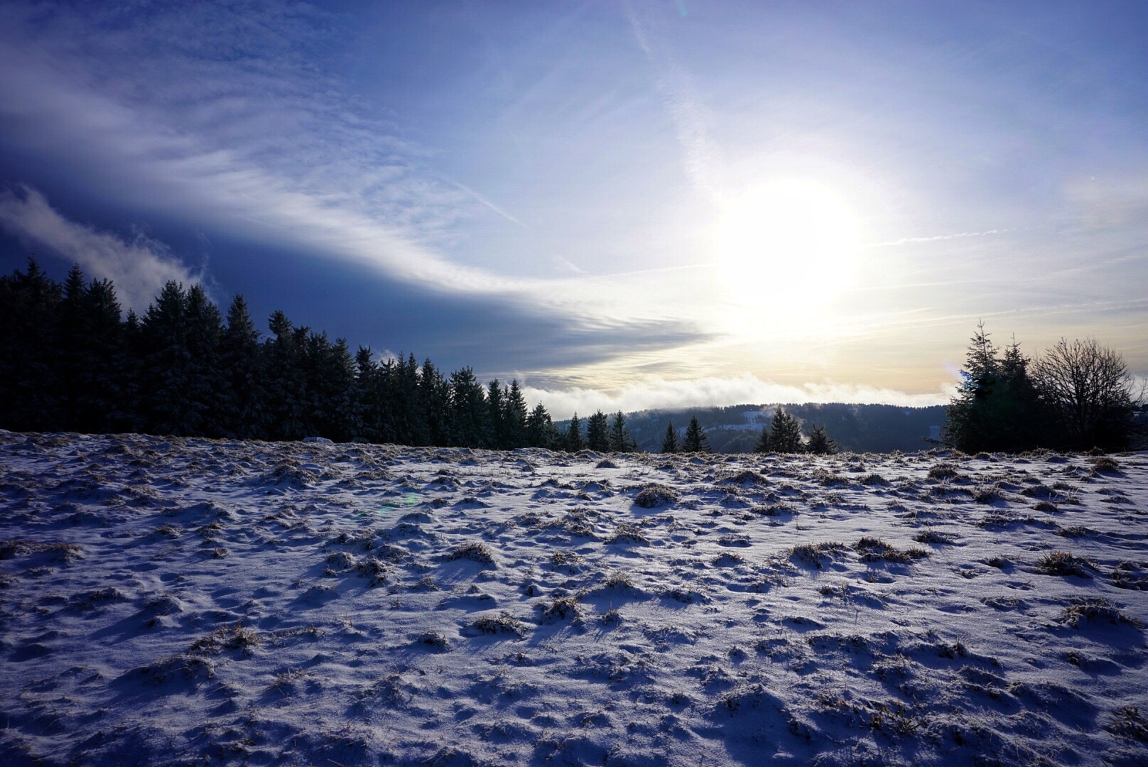 Schwarzwald