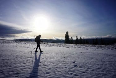 Schwarzwald