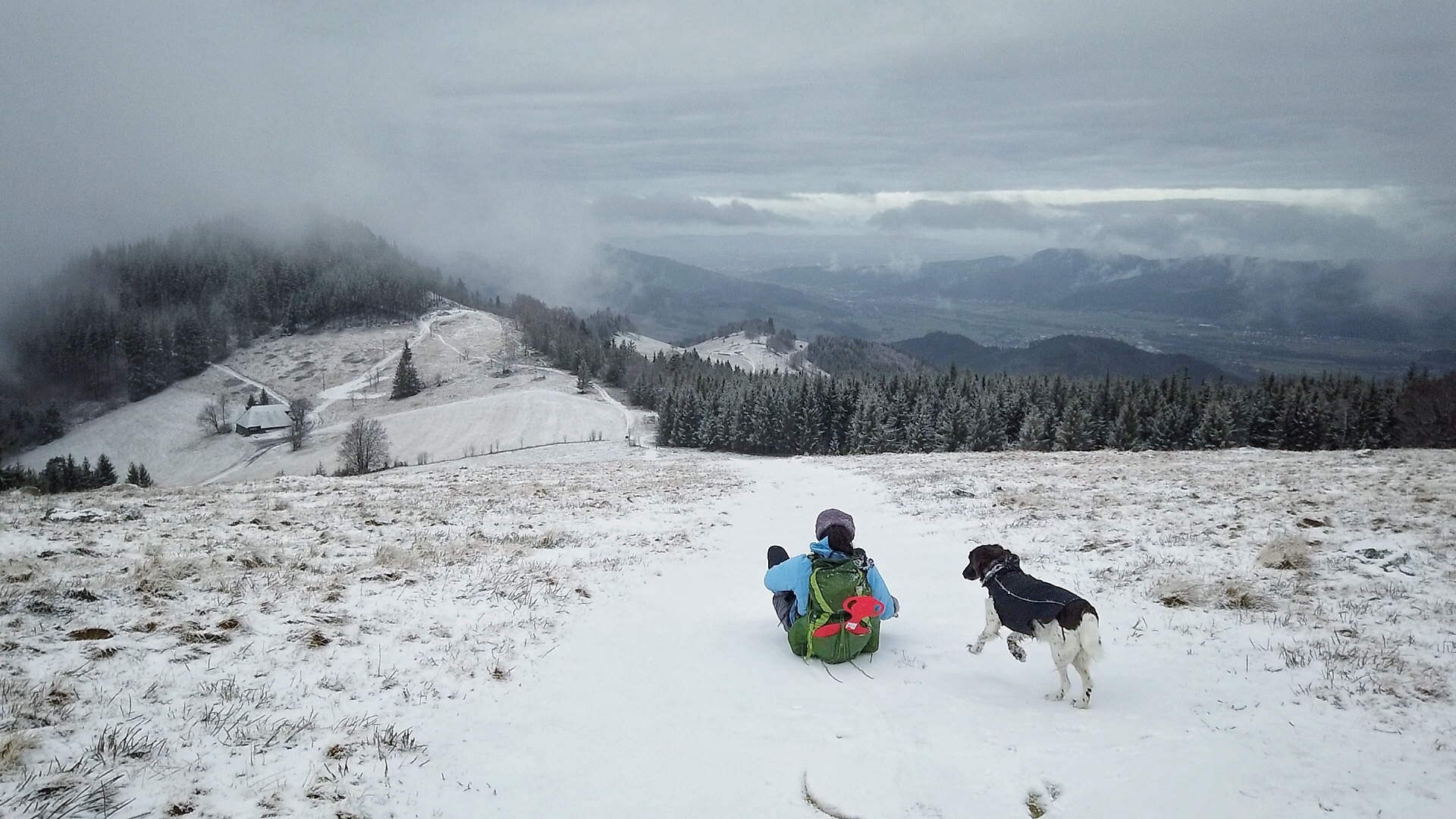 Schwarzwald