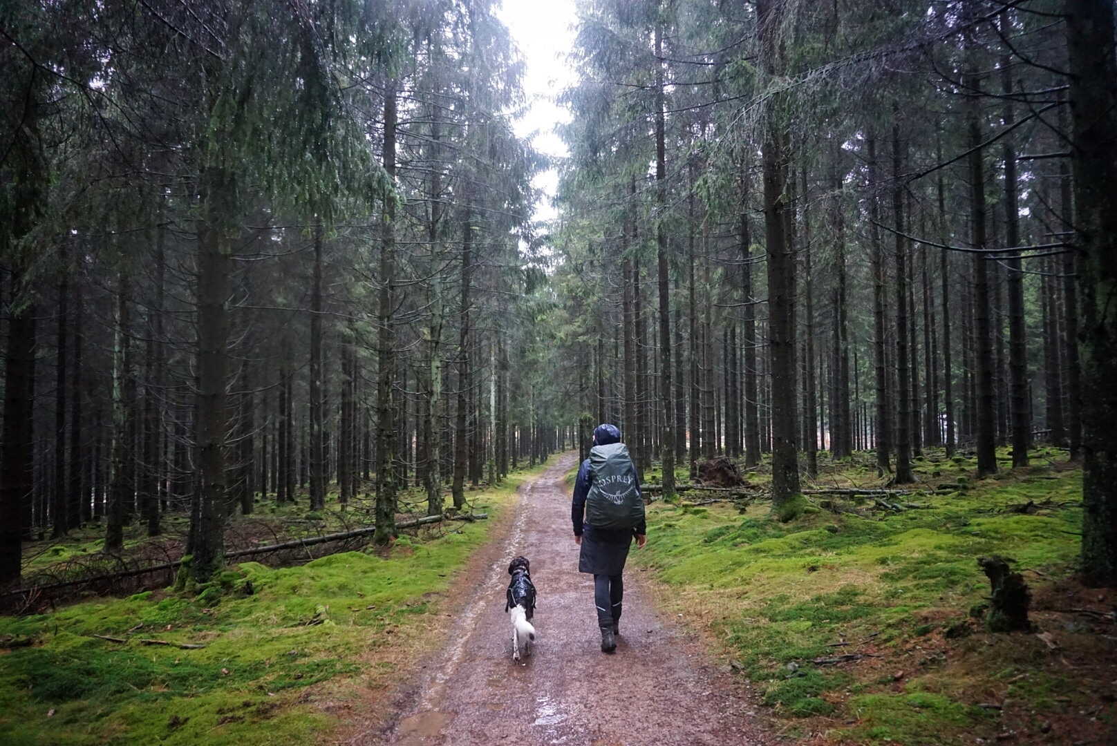 Wandern im Regen 