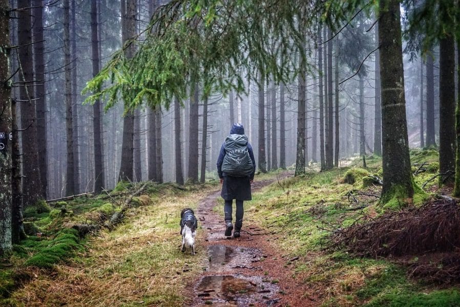 Weitwandern mit Hund