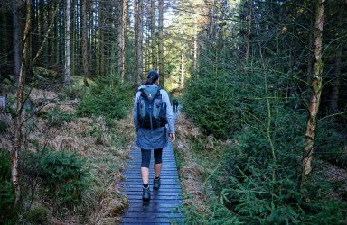 Wandern im Harz