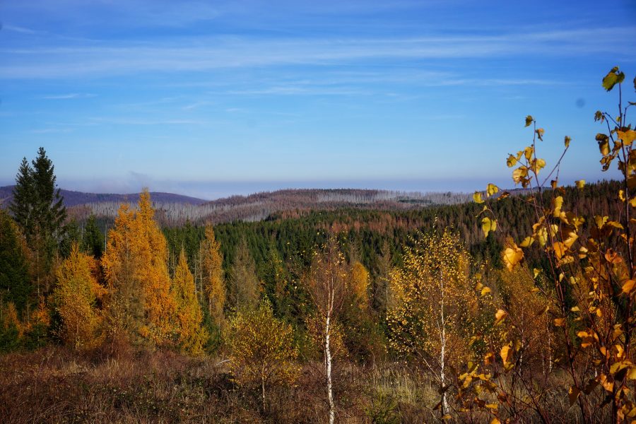 Herbst im Harz